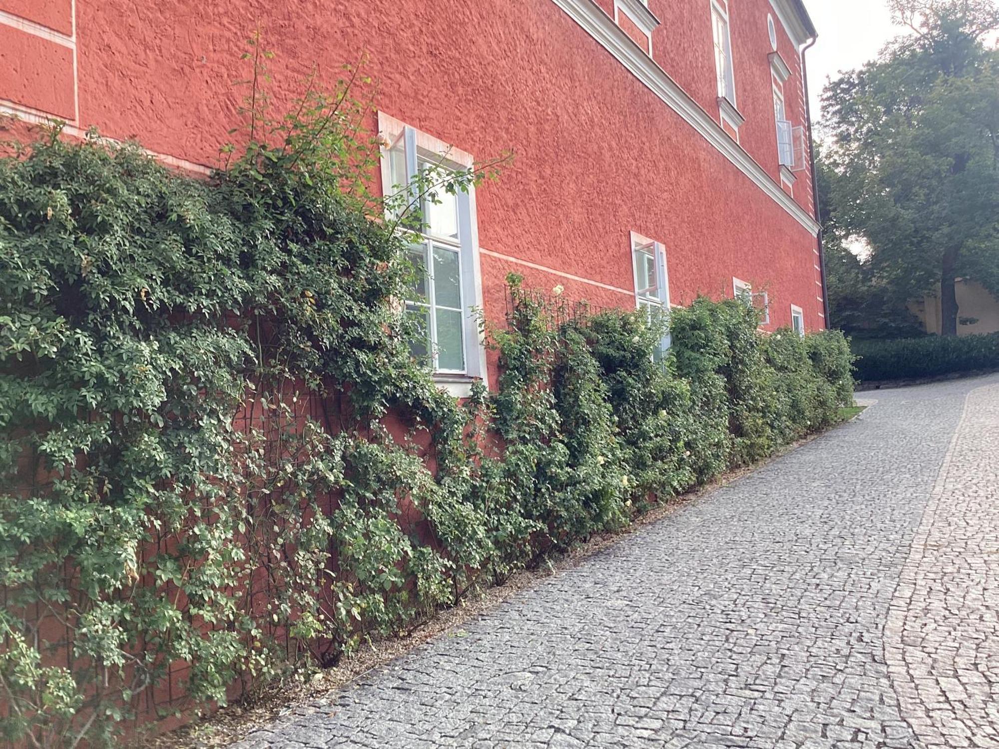 Antonio Residence Škvorec Buitenkant foto